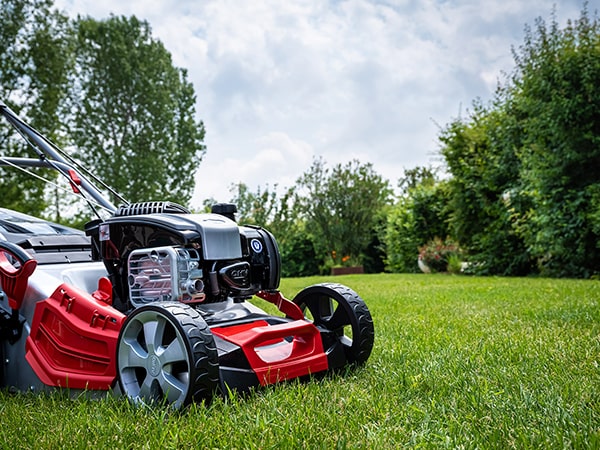 Briggs and best sale stratton mower